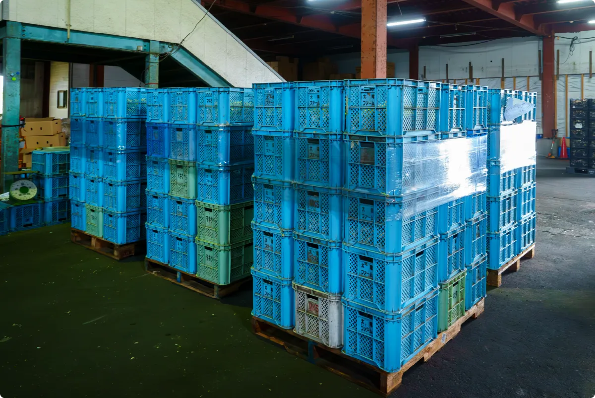 工場に戻る皮剥きにんにく