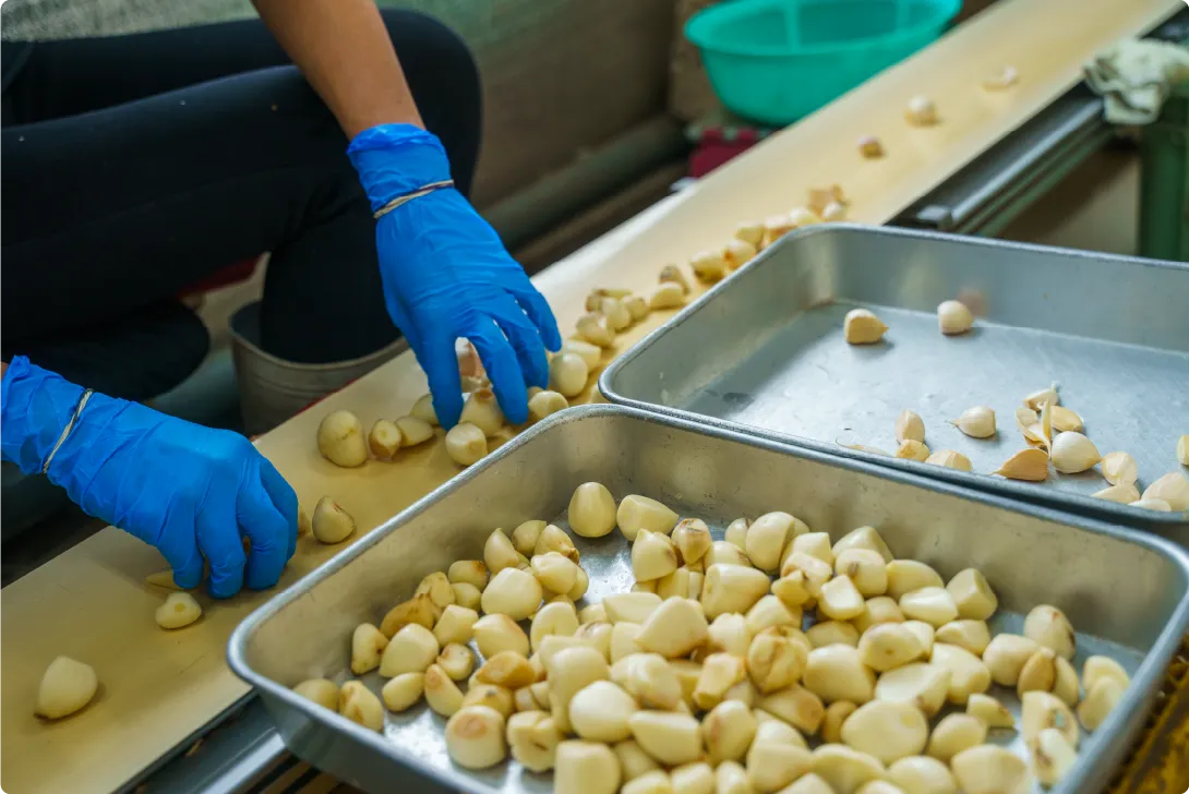 機械の力と熟練の人力技術を組み合わせた独自の皮むき技術